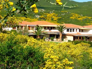 Appartements à Golfo Aranci (Sos Aranzos) - Photo 3
