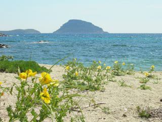 Appartements à Golfo Aranci (Sos Aranzos) - Vue principale