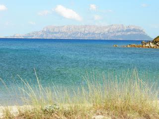 Appartements à Golfo Aranci (Sos Aranzos) - Photo 2