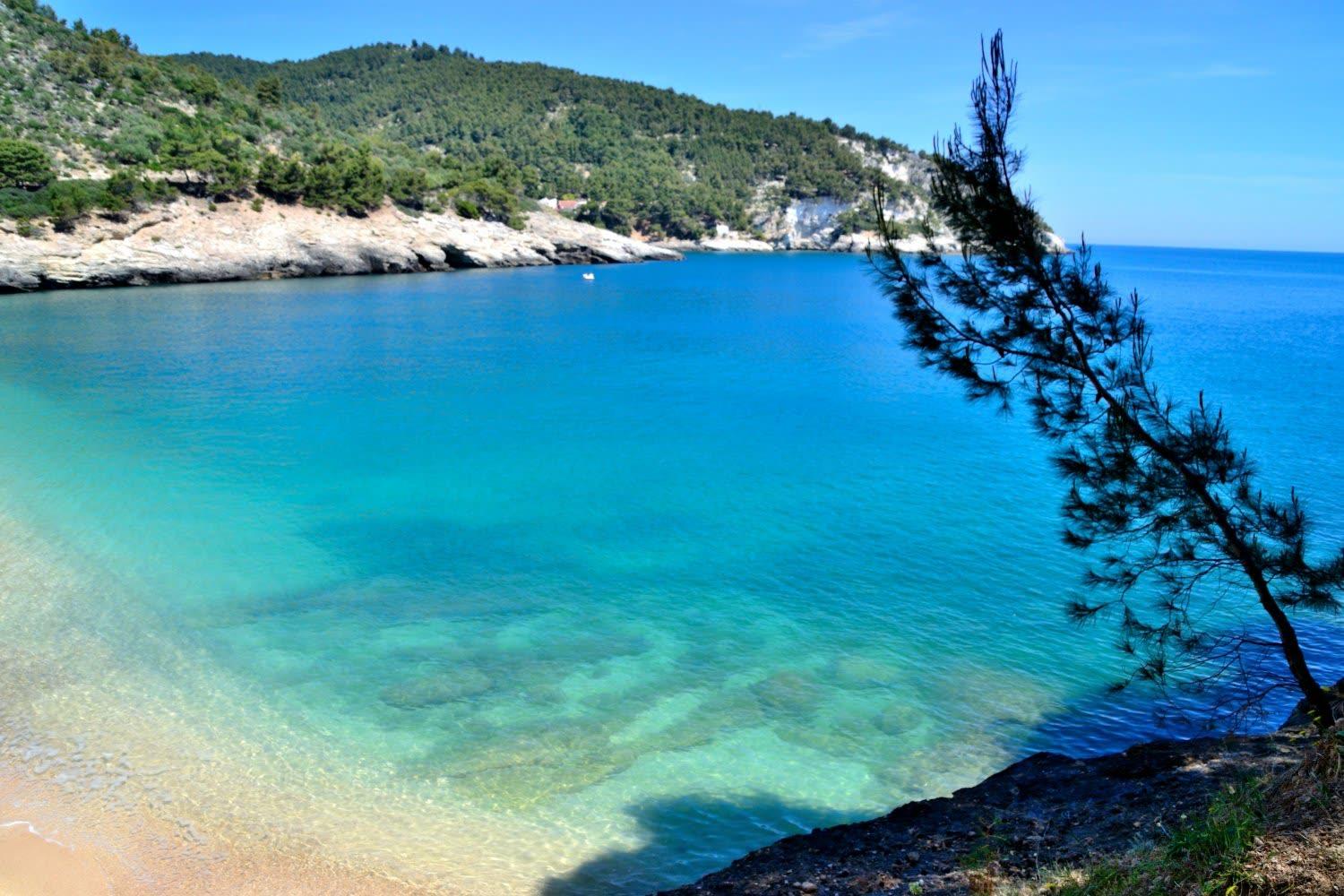 Vieste Pugnochiuso Resort - Vue principale