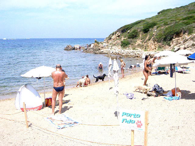 Plage dog-friendly Porto Fido à Porto Quadro, Santa Teresa Gallura en Sardaigne