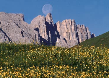 Val di Fiemme, Résidence Mich - Photo 3