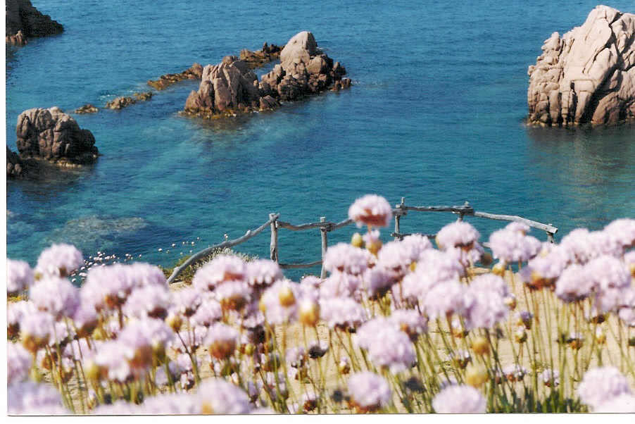 Costa Paradiso - Photo 9